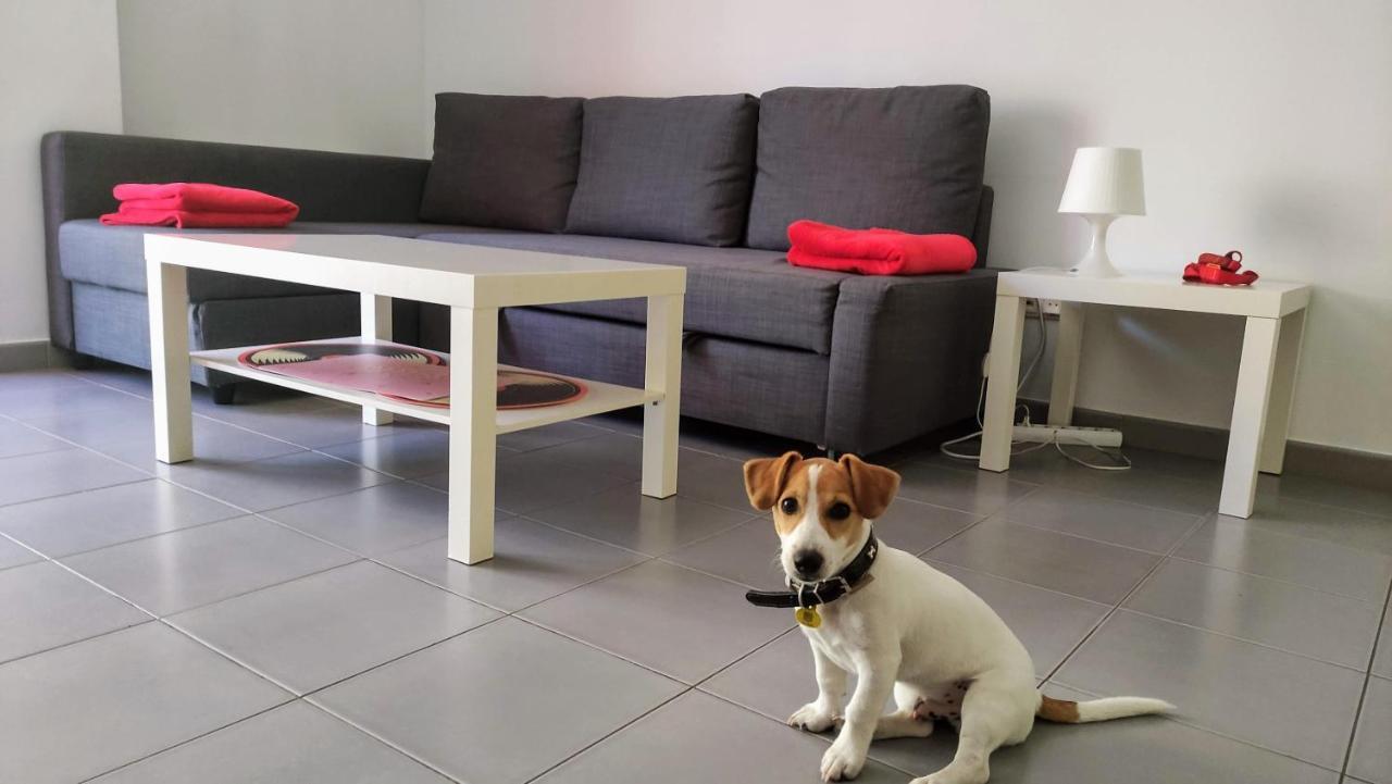 Suitedreams - Feixa 41 Apartamento Andorra la Vieja